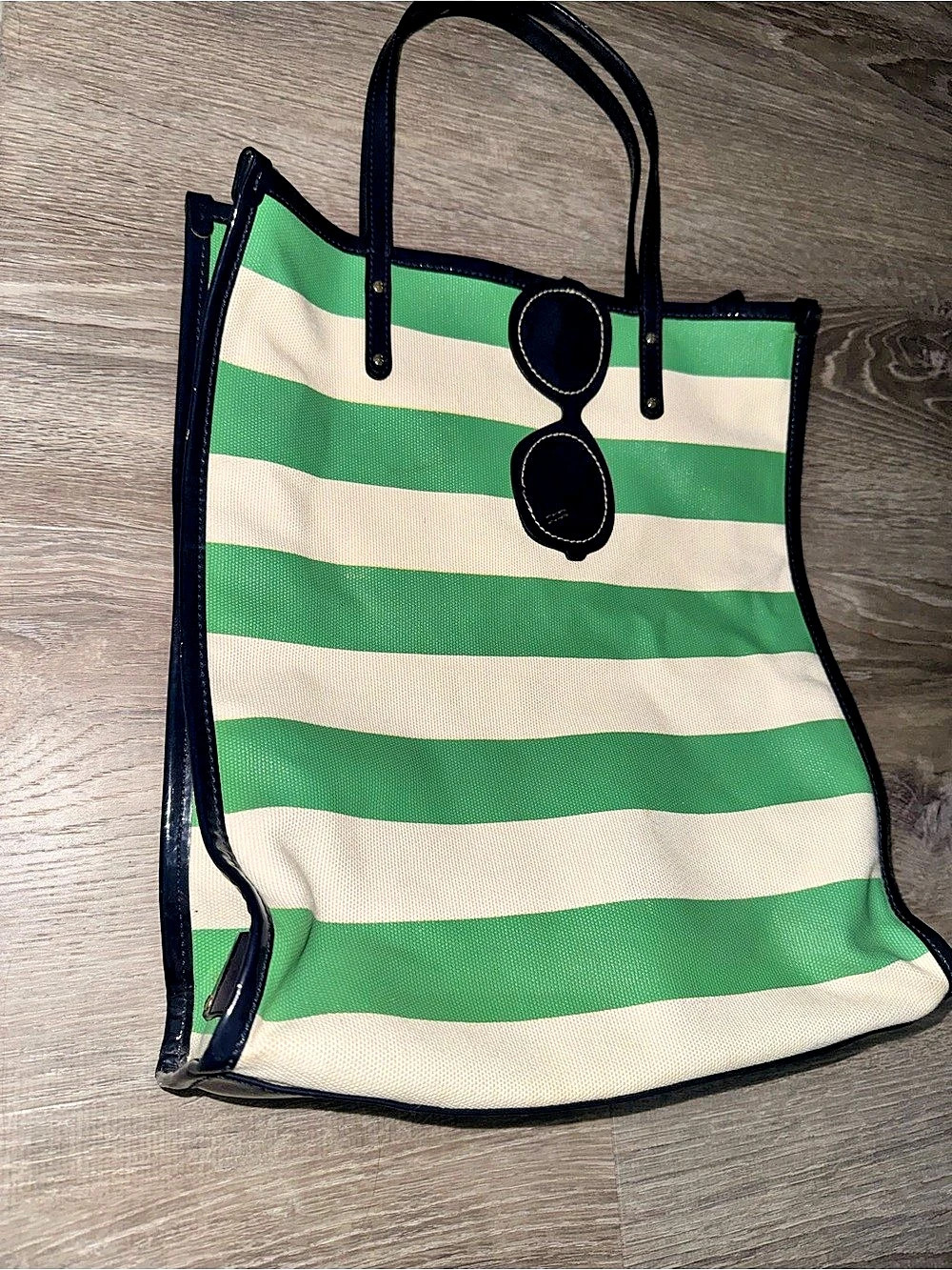 Kate Spade New York Splash Out Stripe Francis Tote Green White Canvas Sunglasses